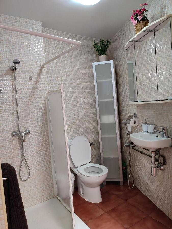 Sunny Apartment Malaga